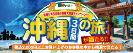 新春お年玉企画お客様大感謝キャンペーン！沖縄3日間の旅が当たる！